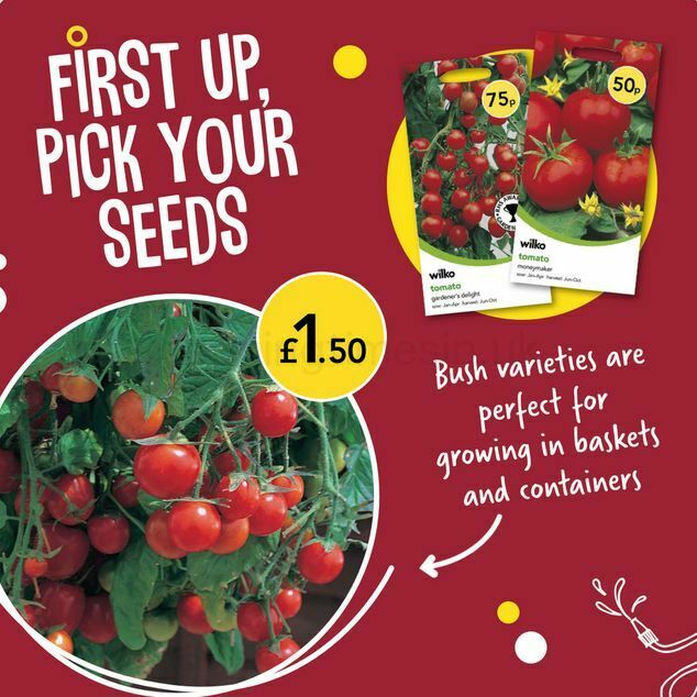 Wilko Offers from 29 March