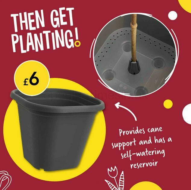 Wilko Offers from 29 March