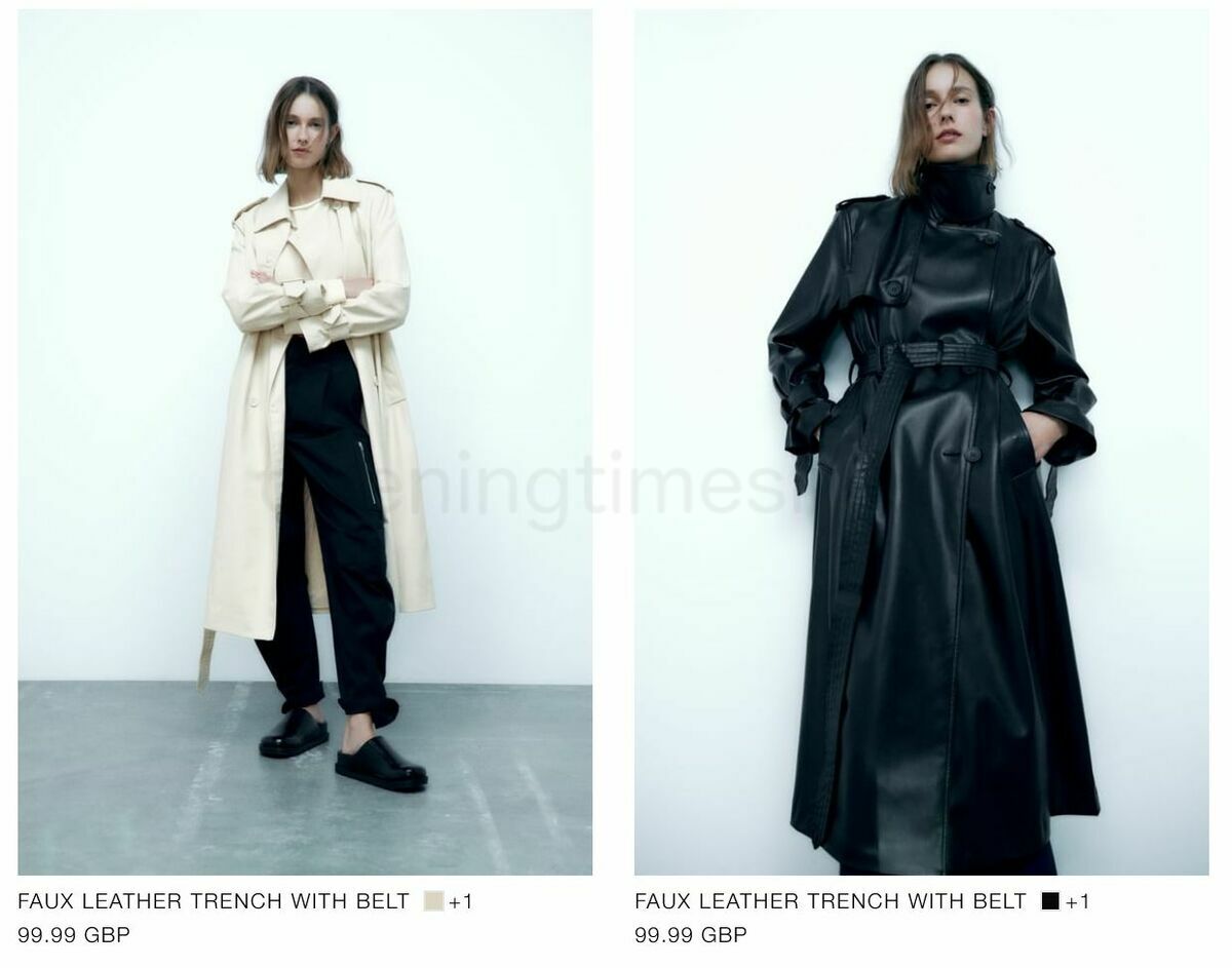 ZARA Offers from 10 February