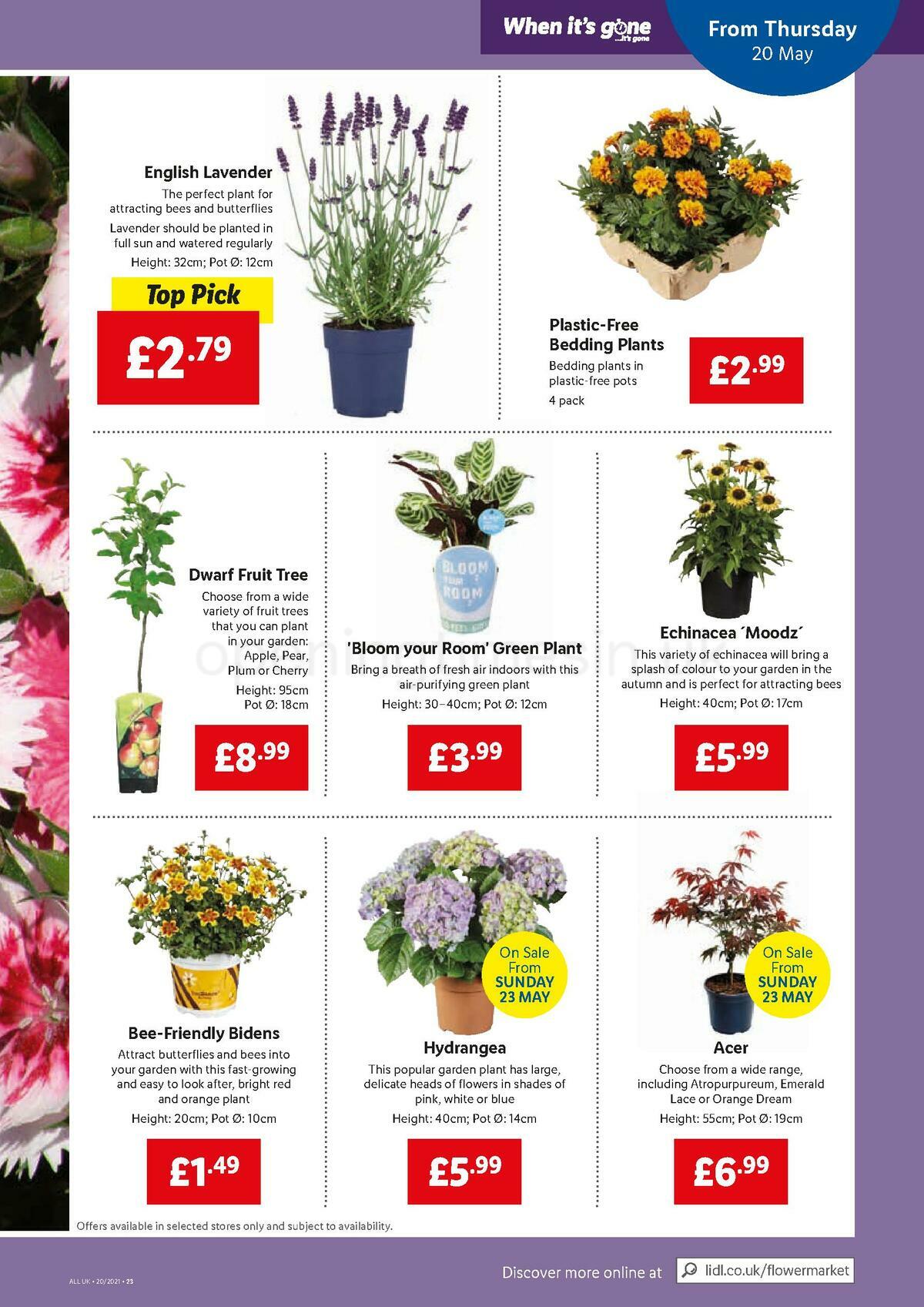 LIDL UK Offers & Special Buys from 20 May Page 19